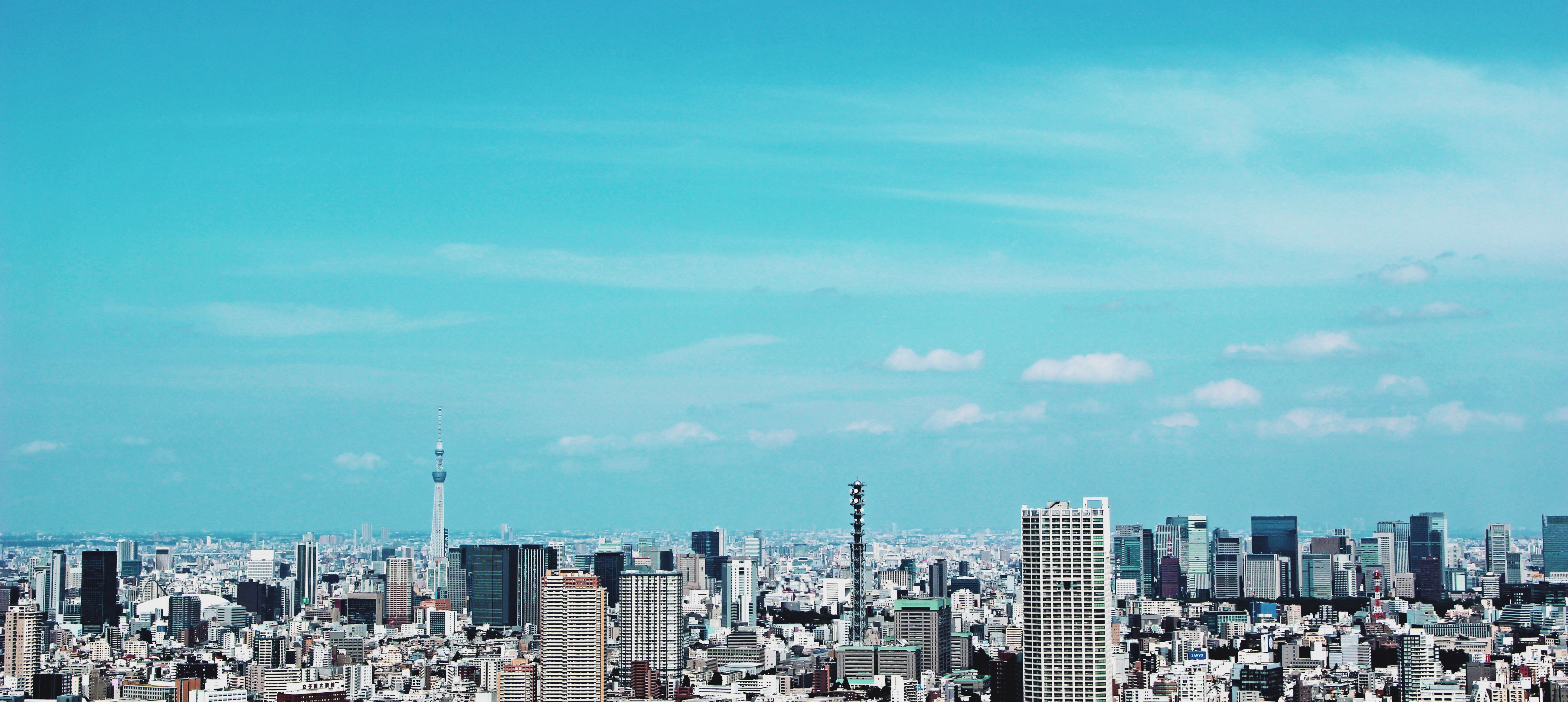 事業概要